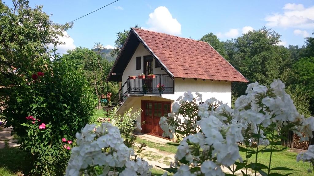 Guesthouse Ana - Serbia
