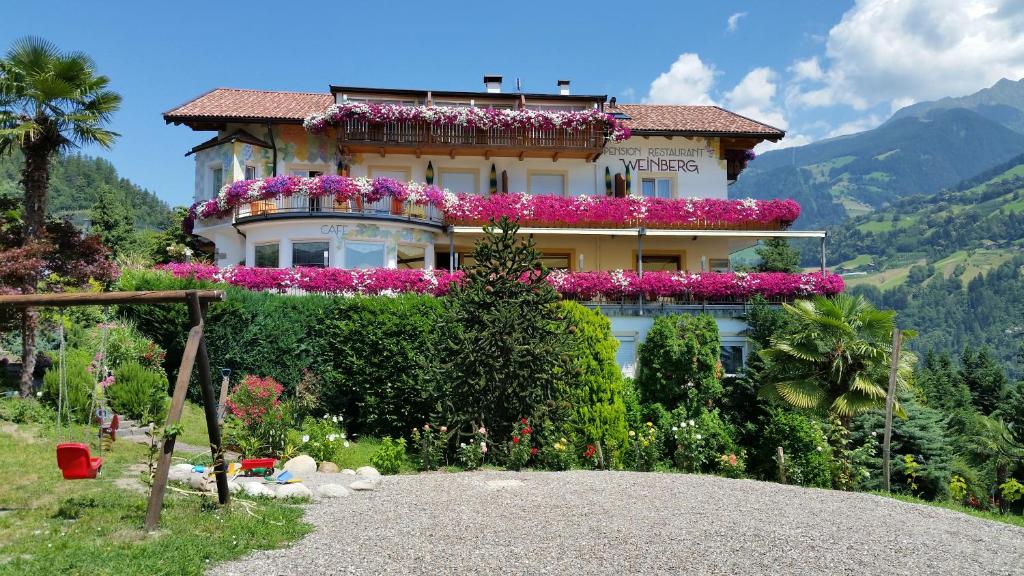 Pension Weinberg - Provincia di Bolzano