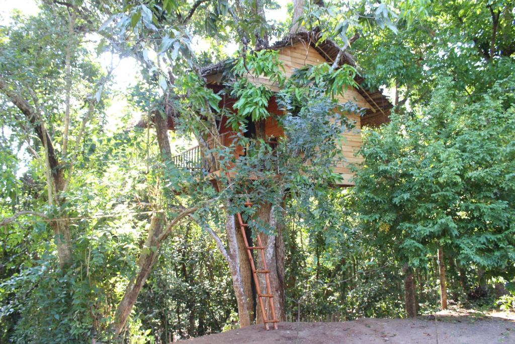 Tree House-midigama - Sri Lanka