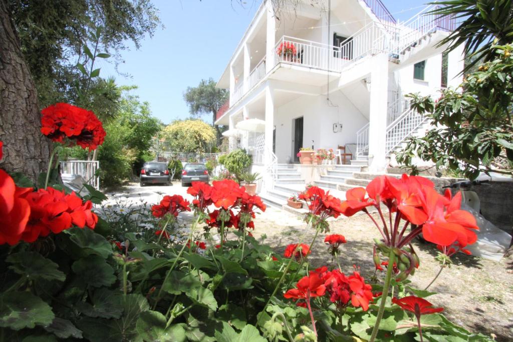 Angeliki Studio and Apartment - Paxoí