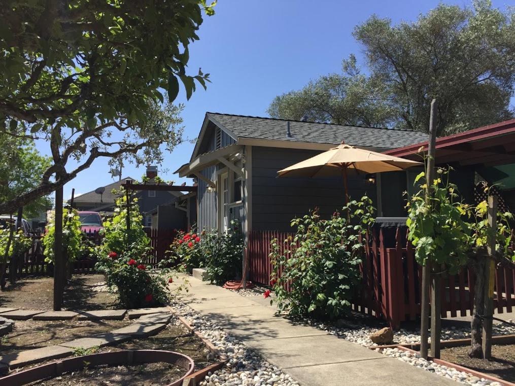 Andrea's Hidden Cottage - Napa Valley, CA