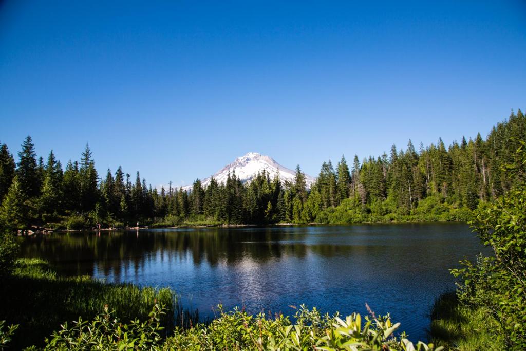 Mount Hood Village Premium Yurt 4 - Oregon