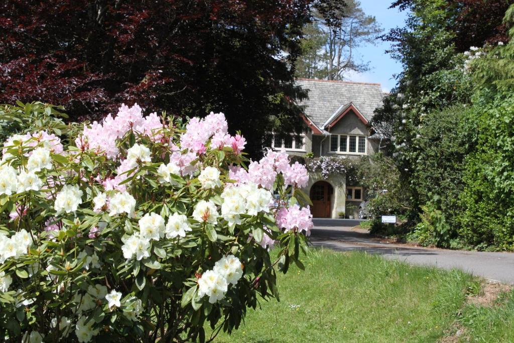 Knapp House Lodges - North Devon