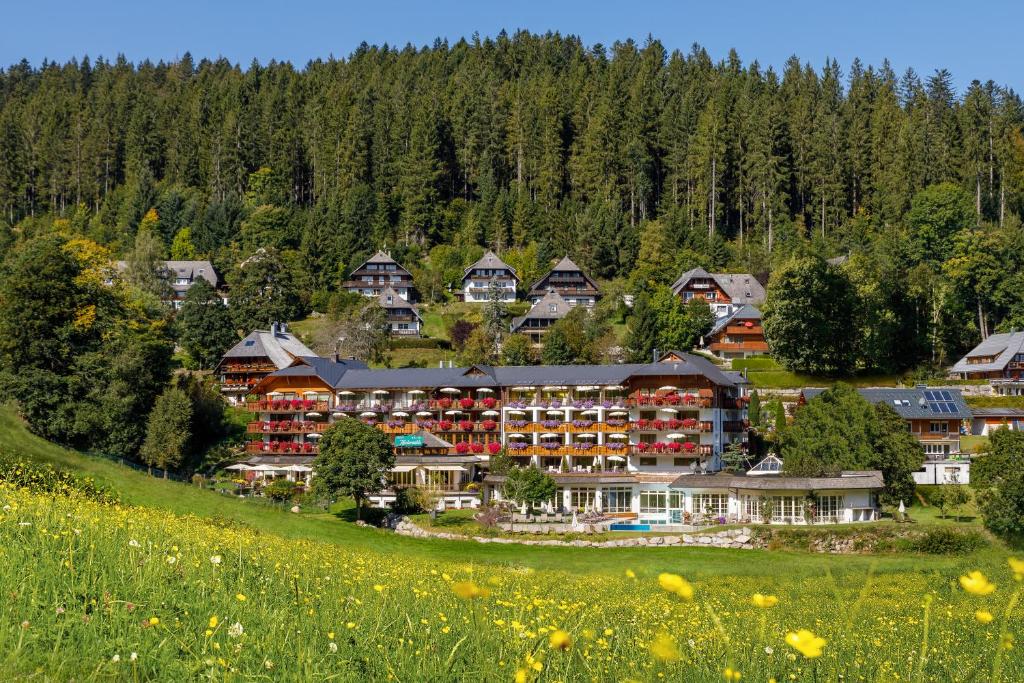 Hotel Kesslermühle - Altglashütten