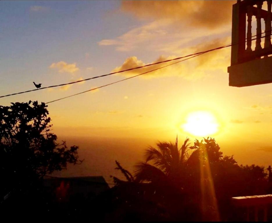 "Sunrise Inn" Nature Island Dominica - ドミニカ