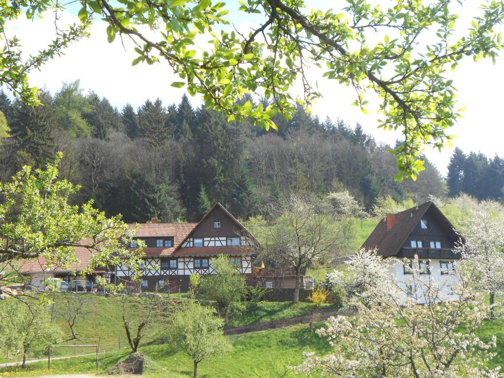 Ferienhof Fischer - Ottenhöfen im Schwarzwald