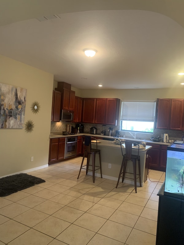 Beautiful Home With Comfortable Stay - Land O' Lakes, FL