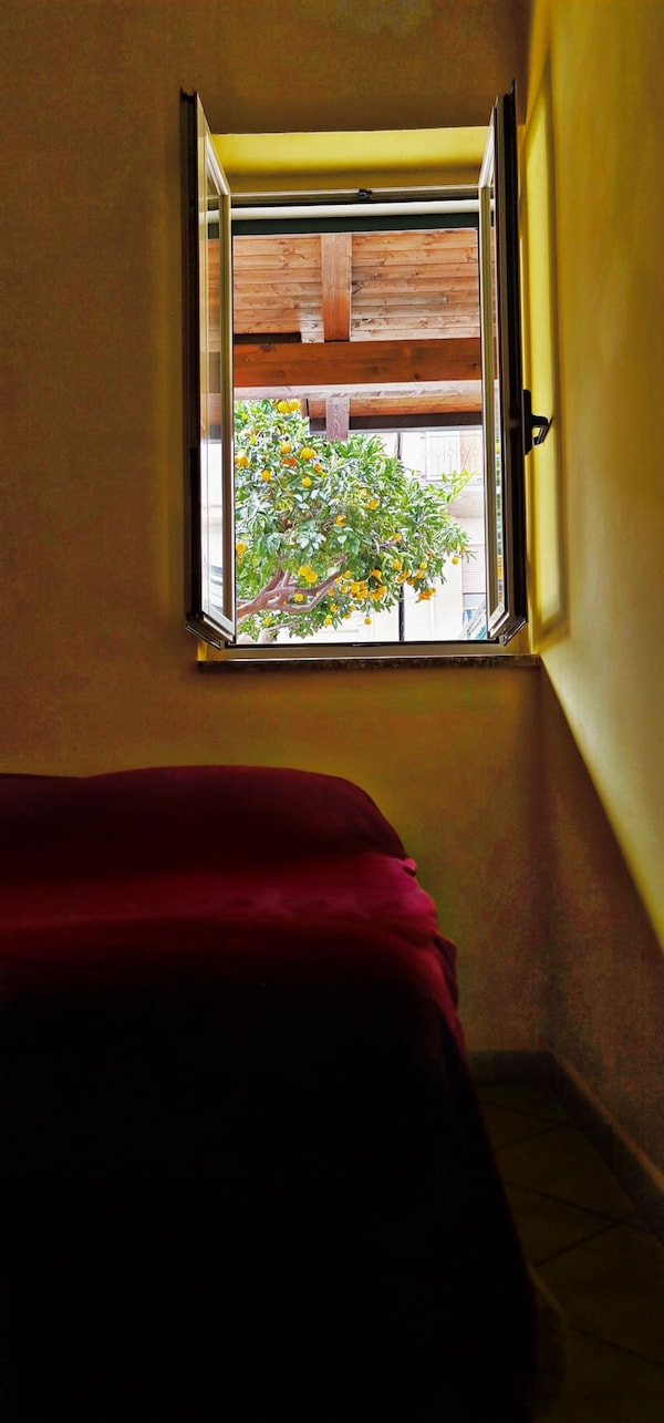Casa Vacanze Tropeana Con Giardino - Parghelia