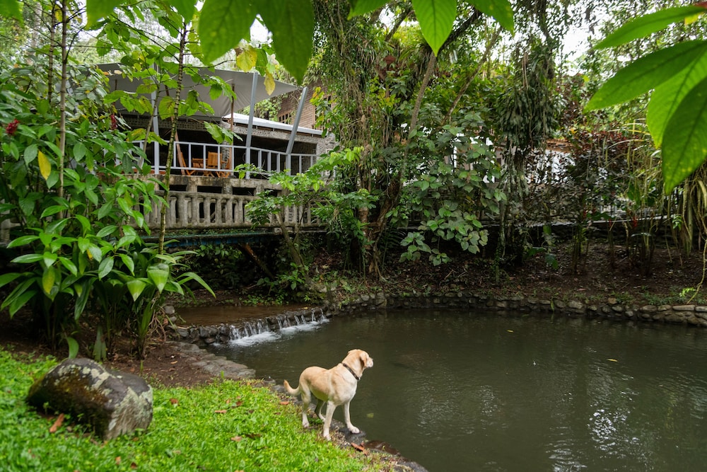 Rancho Margot Sustainable & Self Sufficient Eco Lodge - Costa Rica