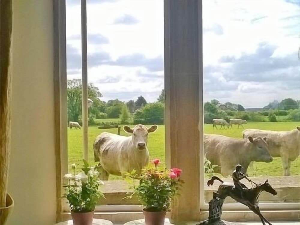 Battens Farm Cottages - B&b And Self-catering Accommodation - Malmesbury