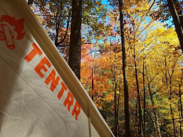 Tentrr Signature Site - First Draw Creek - Transylvania County, NC