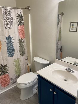 Discovery Island, Simpsonville airbnb, hotels and vacation rentals