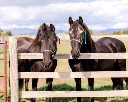 Experience allinclusive resorts in Kalispell, MT by cozycozy