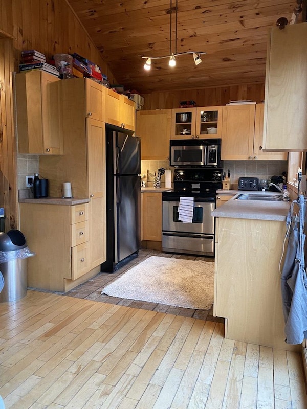 2 Bedroom Waterfront Cottage On Lake Duhamel In Mont-tremblant - モントランブラン