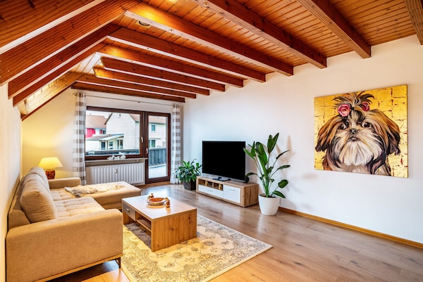 Appartement "Cheng" Avec Terrasse Privée, Balcon Et Wi-fi. - Rastatt