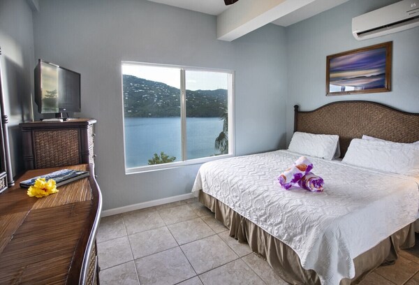 1br Suite With Amazing Views And Only 5 Min From Magen's Bay! - Saint Thomas