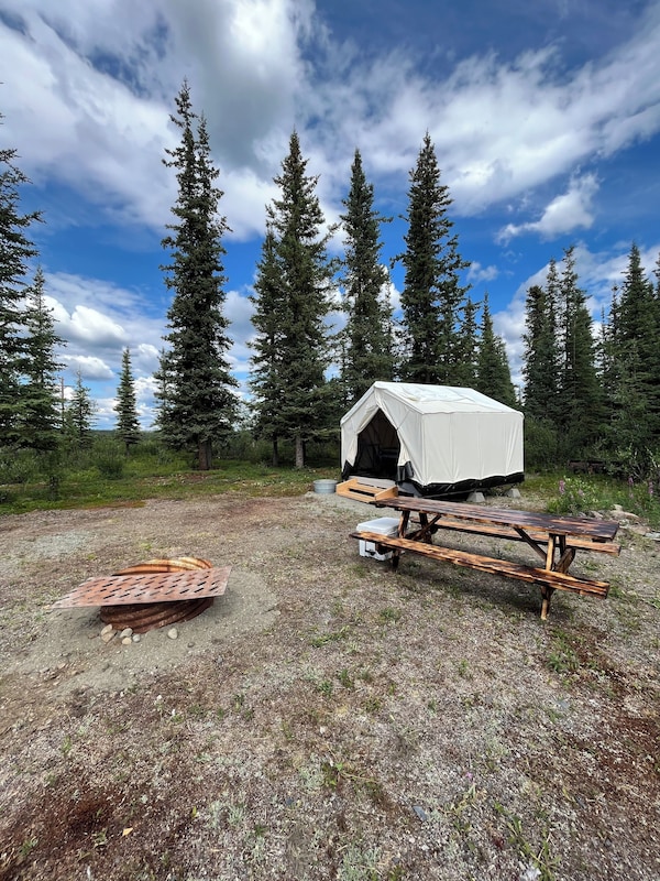 The Prospector Wall Tent At Stump Creek B&b - Alaska