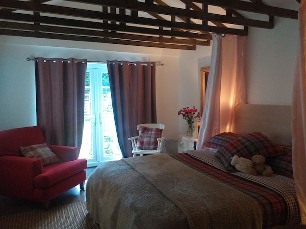 The Little House In Hull Is Pet Friendly! - Kingston upon Hull