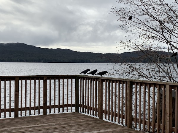 Private House Connected To Potlatch Totem Park Extreme Ocean View. Premium Host - Ketchikan, AK