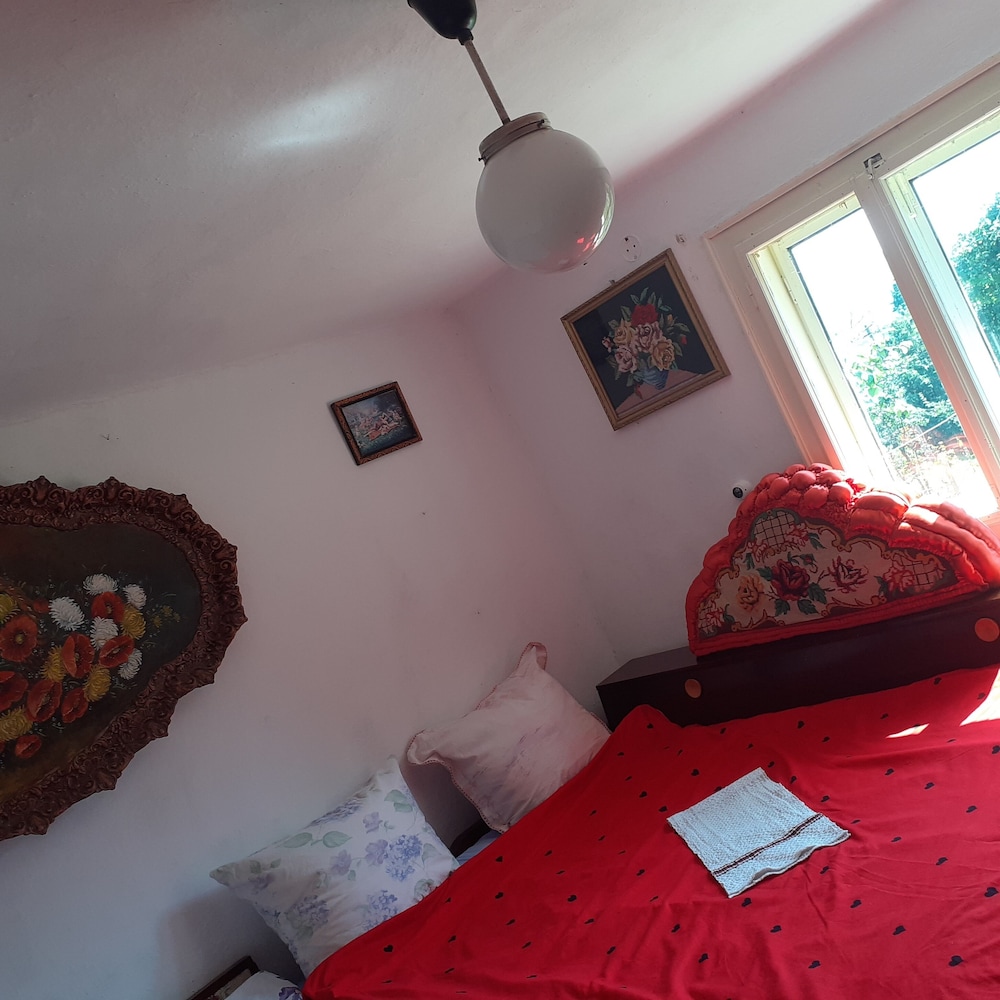 Room in Guest room - Sejour in green garden with lake view for 2 People - Comuna Sohodol