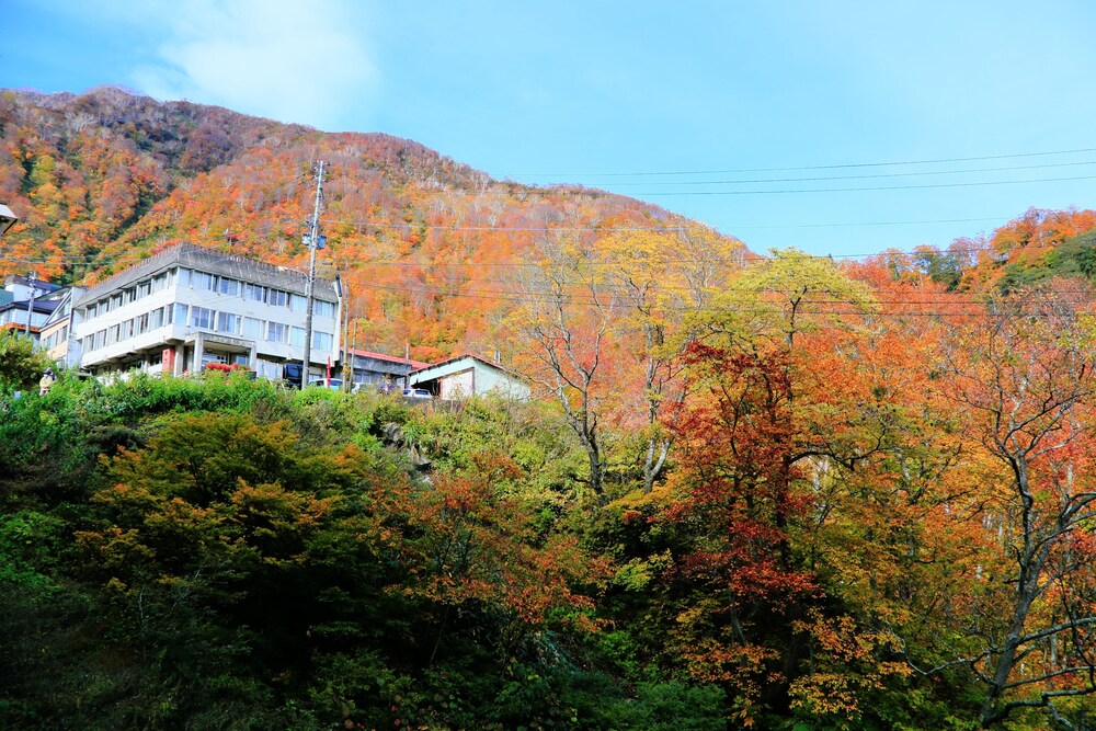 ホテル花文 - 新潟県