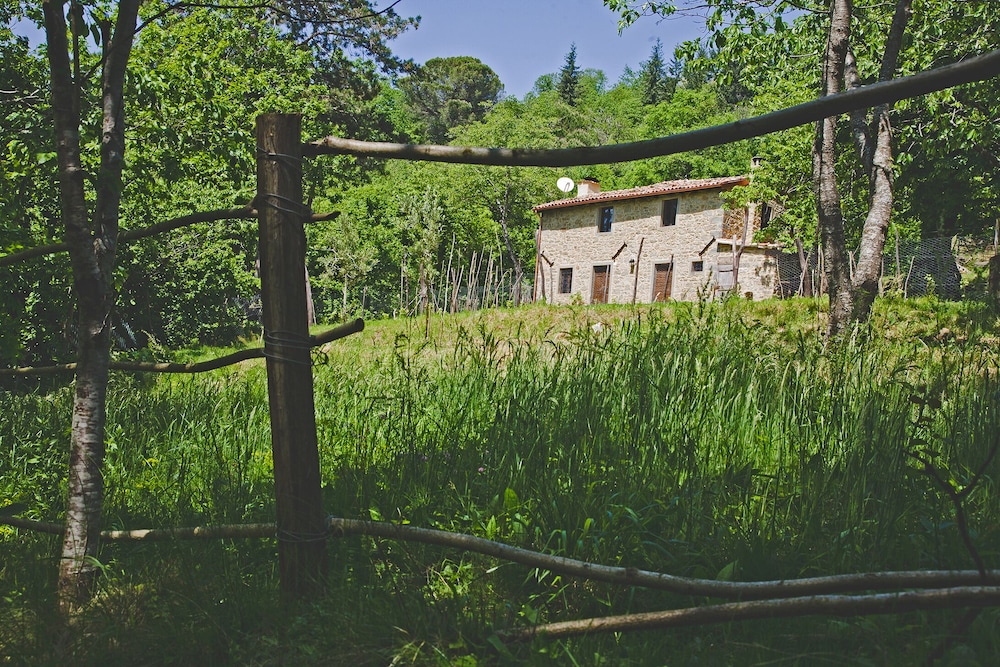 Casa De Campo Situada En El Antiguo Chestnut Grove - Toscana