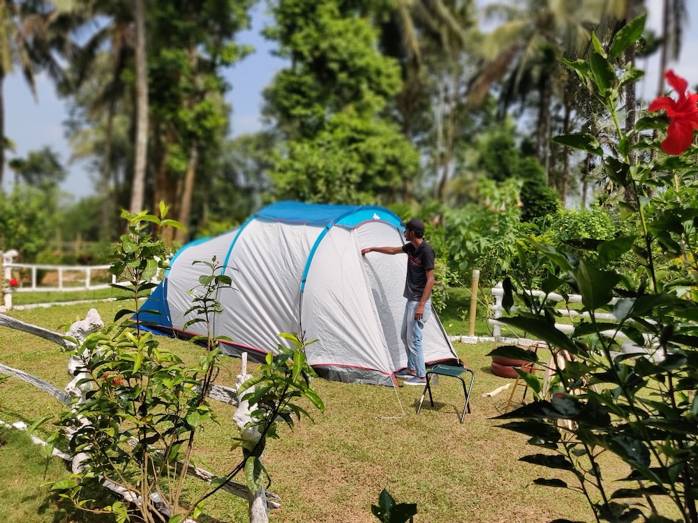 Wildcooper Vythiri Camp - Kerala