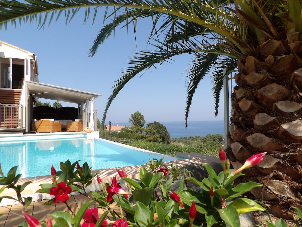 Villa De Standing Avec Piscine à Débordement, Vue Sur Mer Et Maquis - Corse-du-Sud