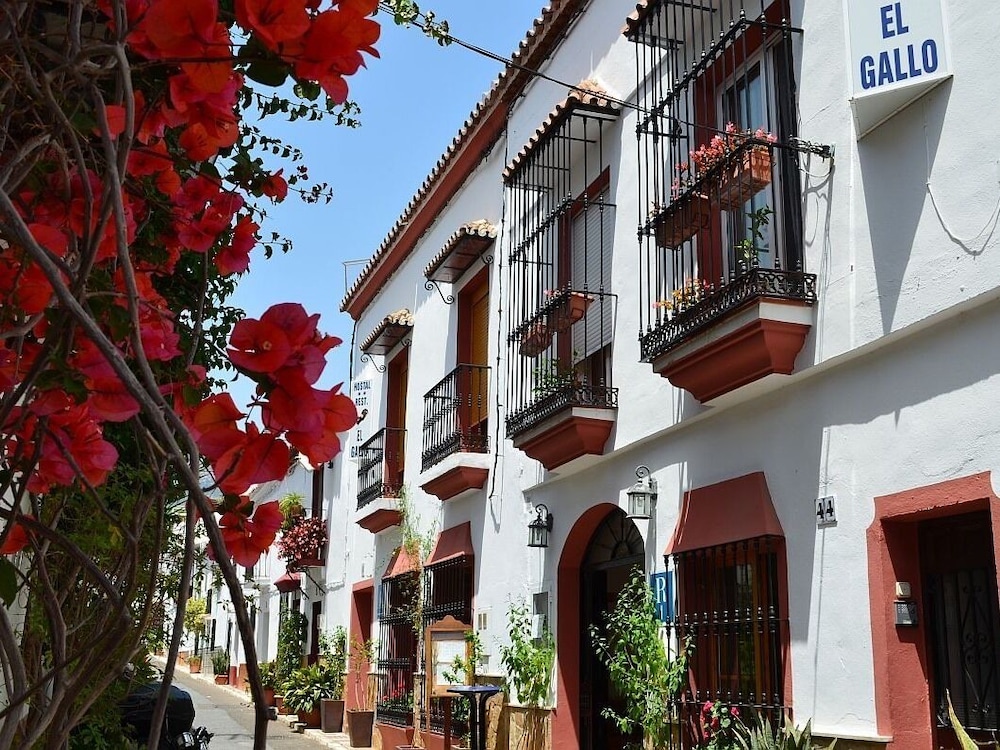 Hostal Apartamentos El Gallo - Marbella