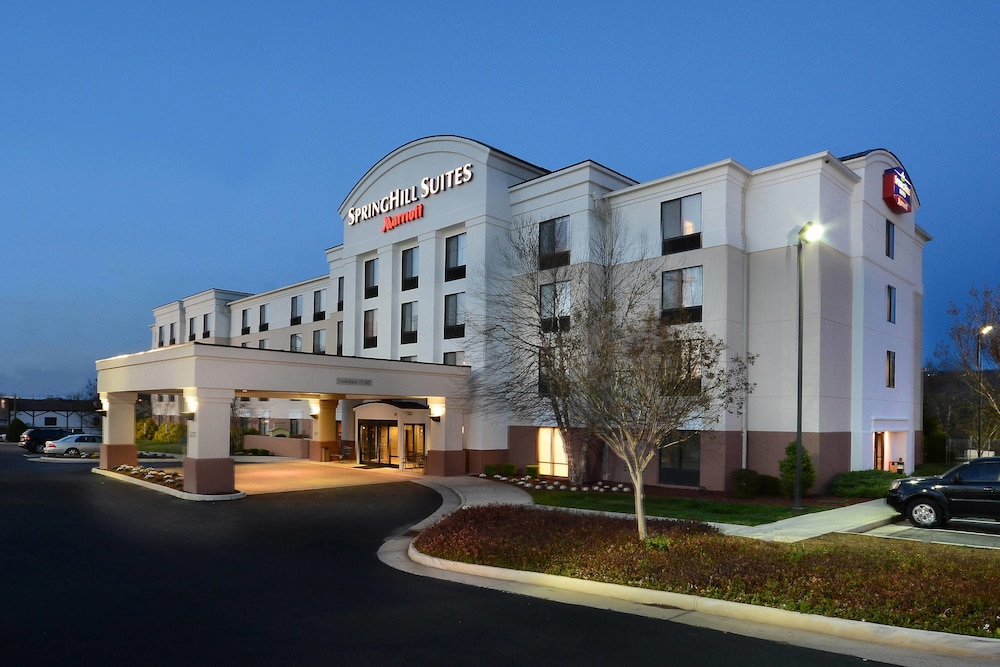 Springhill Suites By Marriott Lynchburg Airport/university Area - Lynchburg