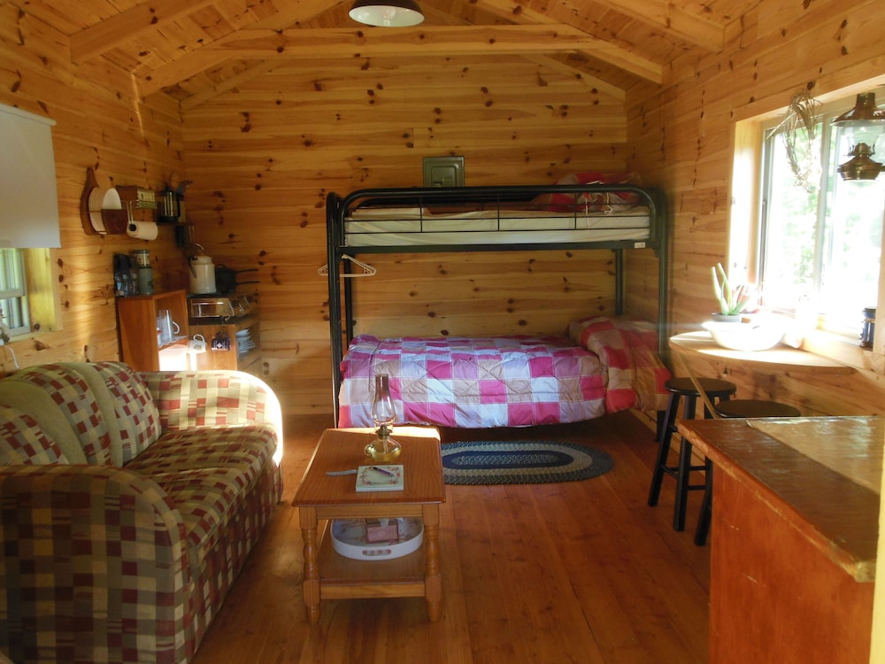 Rustic Cabin, Solarpower, Heated, Hiking, 3ponds,wildlife, Dark Skies/stargazing - 紐約