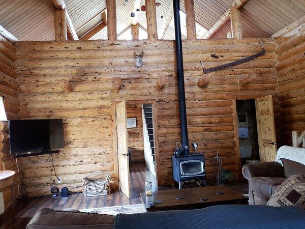Luxury Log Home At Foot Of Mt. Princeton - Browns Lake, Nathrop
