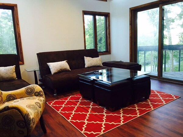 New Modern House In The Poconos!  Roku, Sonos, Ski Resort, Indoor Pool Specials! - Delaware State Forest, Dingmans Ferry