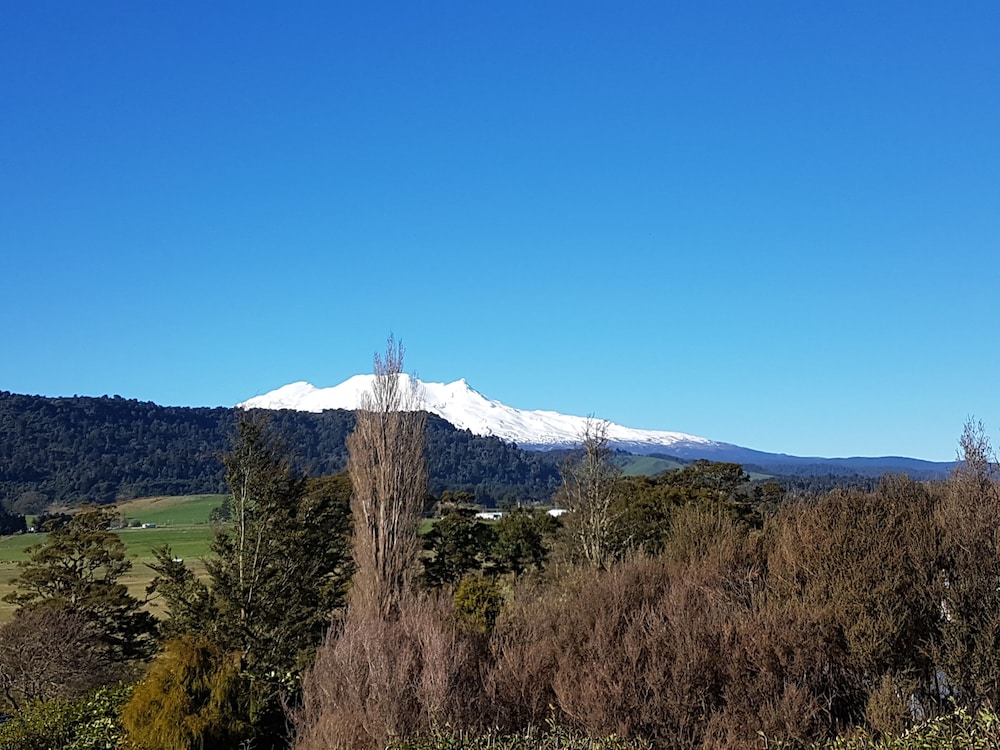 Stunning Views, Warm, Central & Quiet Little Hill
Biking, Skiing, Tramping +More - New Zealand