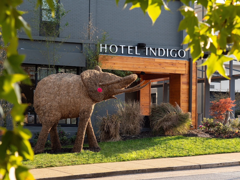 Hotel Indigo Chattanooga - Downtown, An Ihg Hotel - Signal Mountain, TN