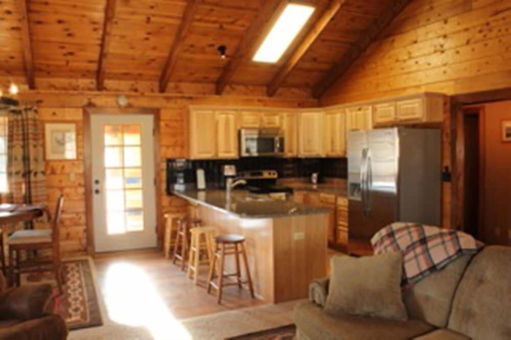 Amazing Lost Eagle Ranch Log Cabin, Unbeatable Views, Skiing, Pet Friendly! - Pagosa Springs, CO