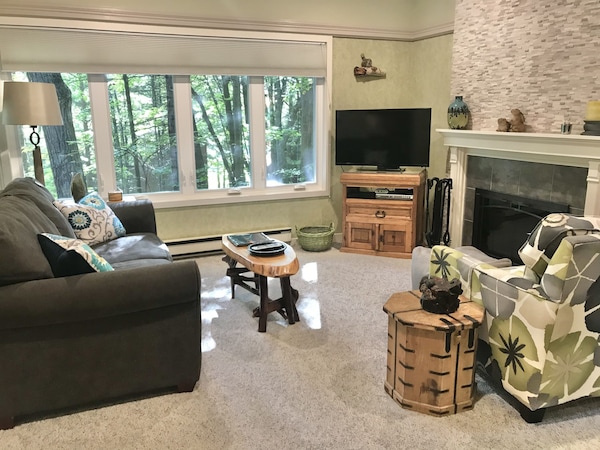 Contemporary & Cozy Condo On Homestead Property - Glen Arbor, MI