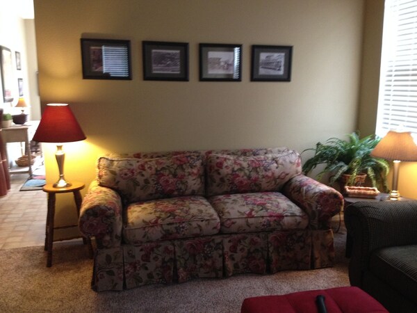 Cozy, Comfortable Perfect For Family, Lady's Retreat, Or Business Rental ! - City Park, Pueblo