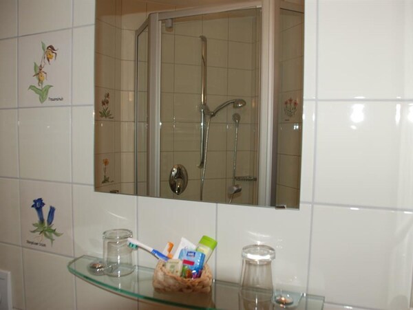 Double Room "Alpenblumen" With Bath, Wc - Baby- And Kinderbauernhof Zamsegg - Hinterstoder