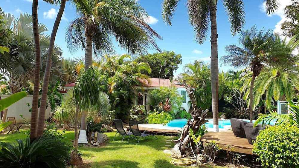 Villa Avec Ses Iguanes + Piscine En Bord De Mer Proche Plages Et Golf. - Anse des Rochers