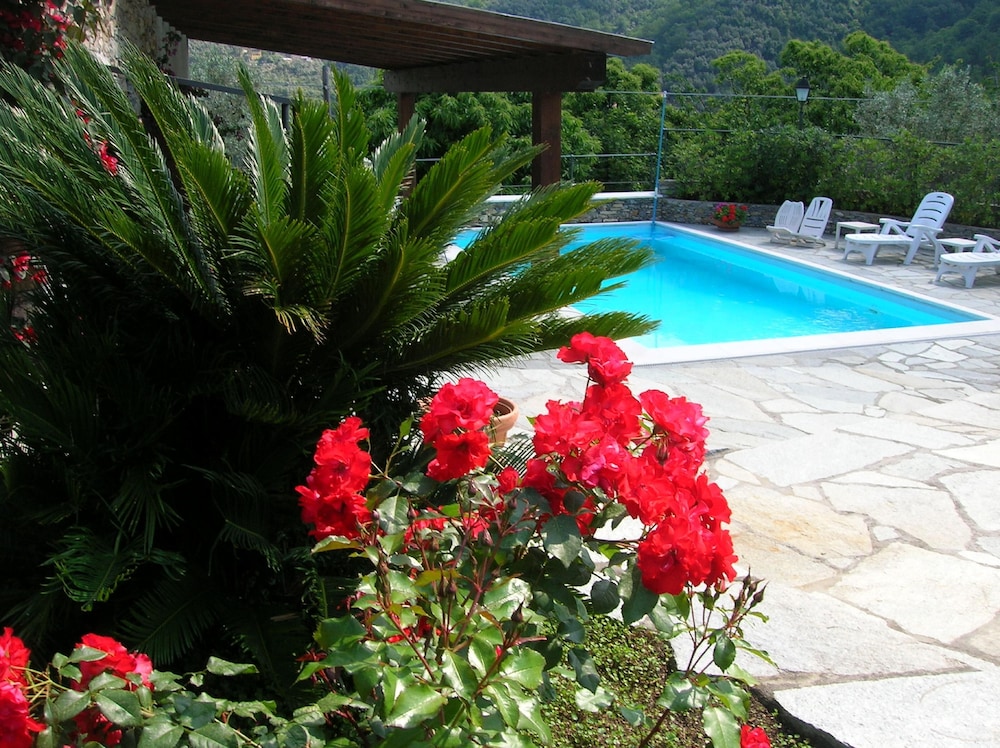 Villa Daphne Pool And Jacuzzi Near The Sea And Portofino Citra 010002-lt-0001 - Camogli