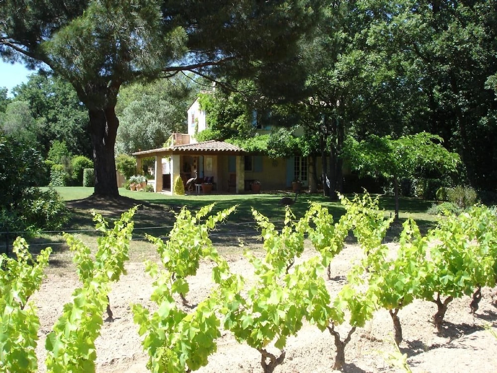 Landhaus In Weingärten Nahe St Tropez. Verfügbarkeit Im Schönen Juni 2009! - Ramatuelle