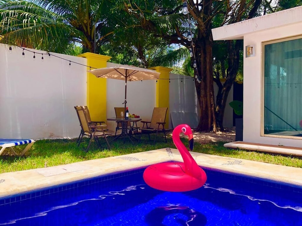 Flamingo Family Week - Cancún
