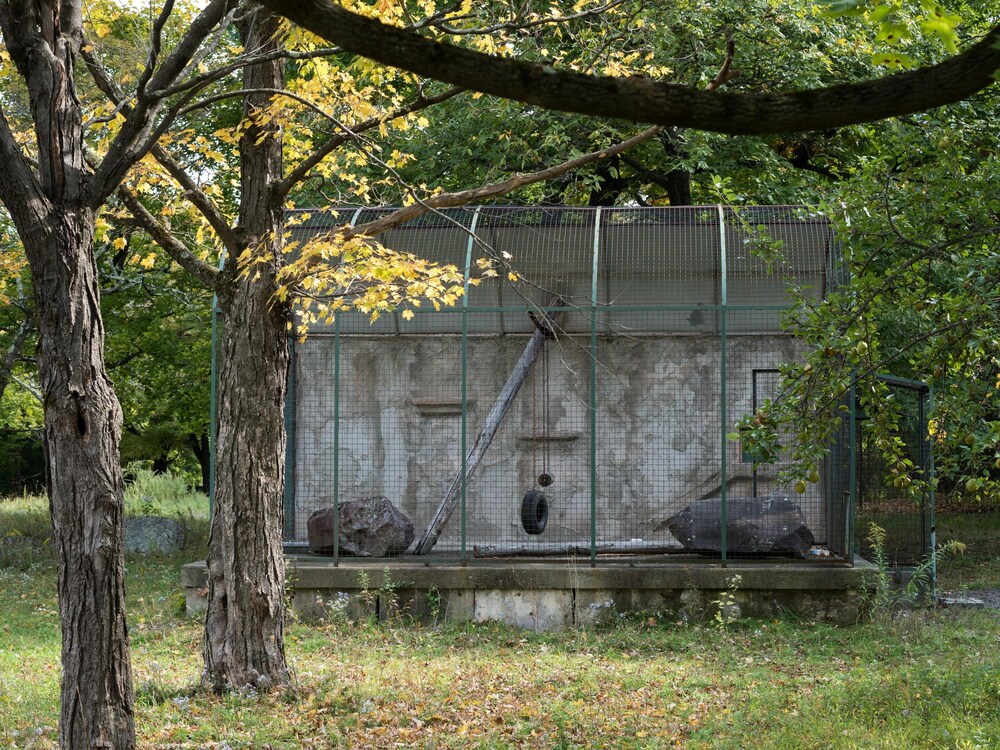 Tentrr Signature Site - The Old Catskill Game Farm   Abandoned Zoo: Fido's Viney - Catskill, NY
