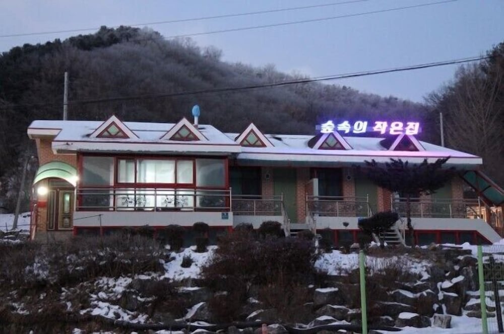 小屋树木酒店 - 南韓