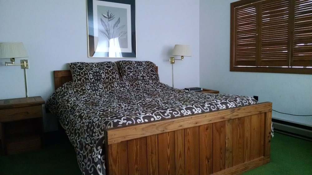 Seven Springs Townhouse With Wifi/netflix - Laurel Hill State Park, PA