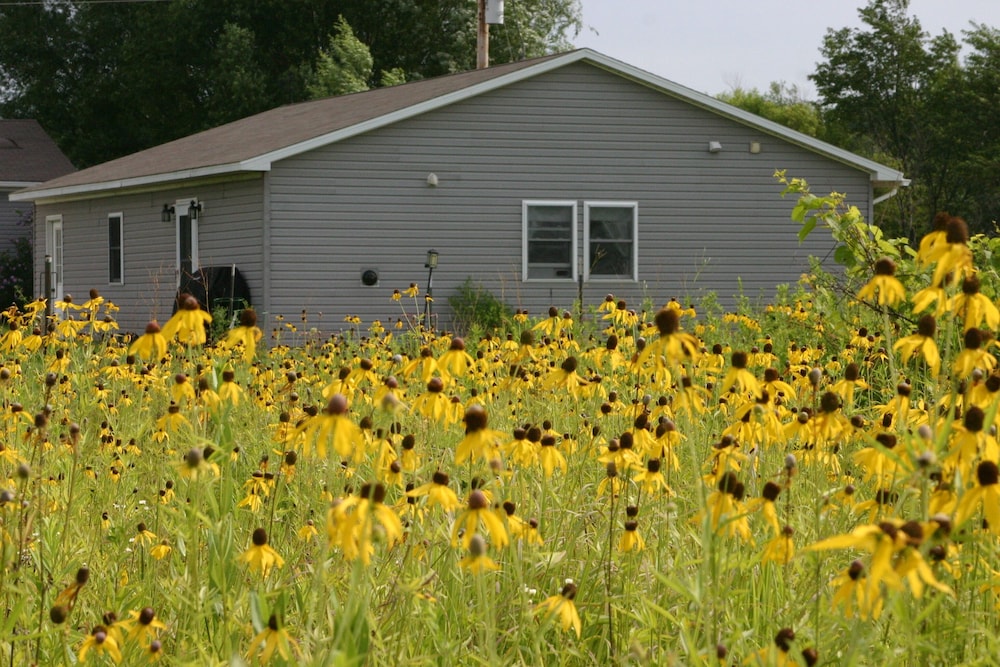Peace On The Prairie:  Native Prairie Setting -  Pets Allowed.  No Cleaning Fees - Illinois