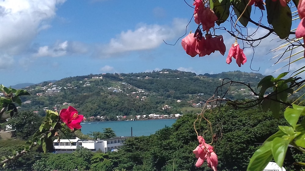 Kay Zanndoli, Sea View, Pool, Jacuzzi, Garden - Martinique