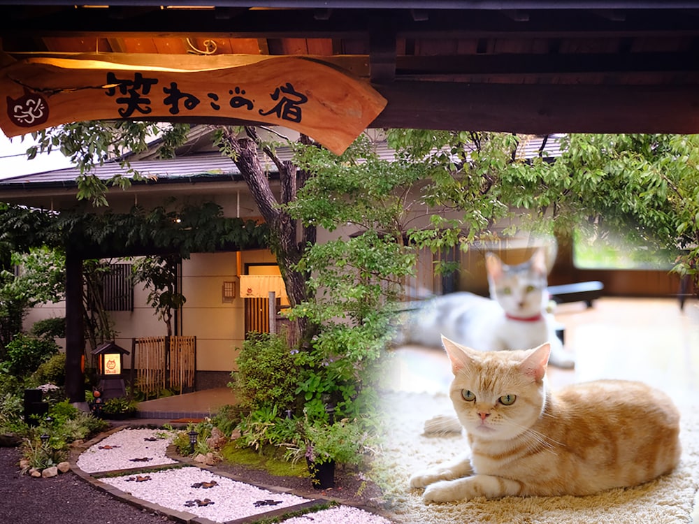 汤布院笑猫日式旅馆 - 