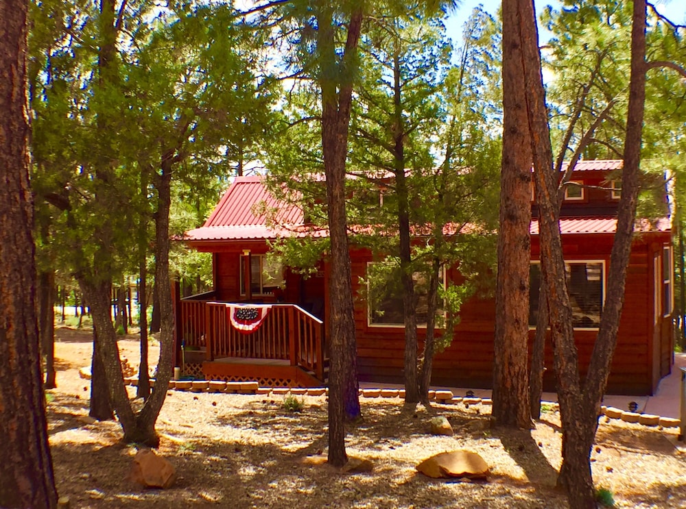 Come And Romp In The Snow! Sweet, Impeccable Cabin In The Pines ! Hiking, Lakes! - Arizona